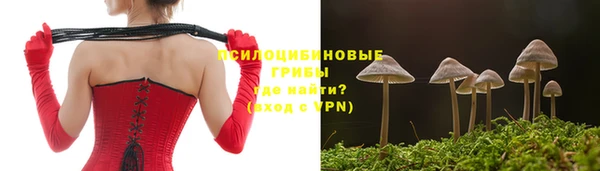 стаф Пролетарск